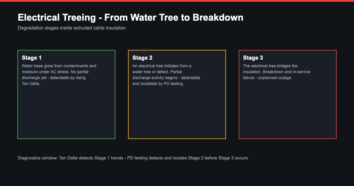 Evolution of electrical treeing in cable insulation - from water tree to partial discharge to breakdown